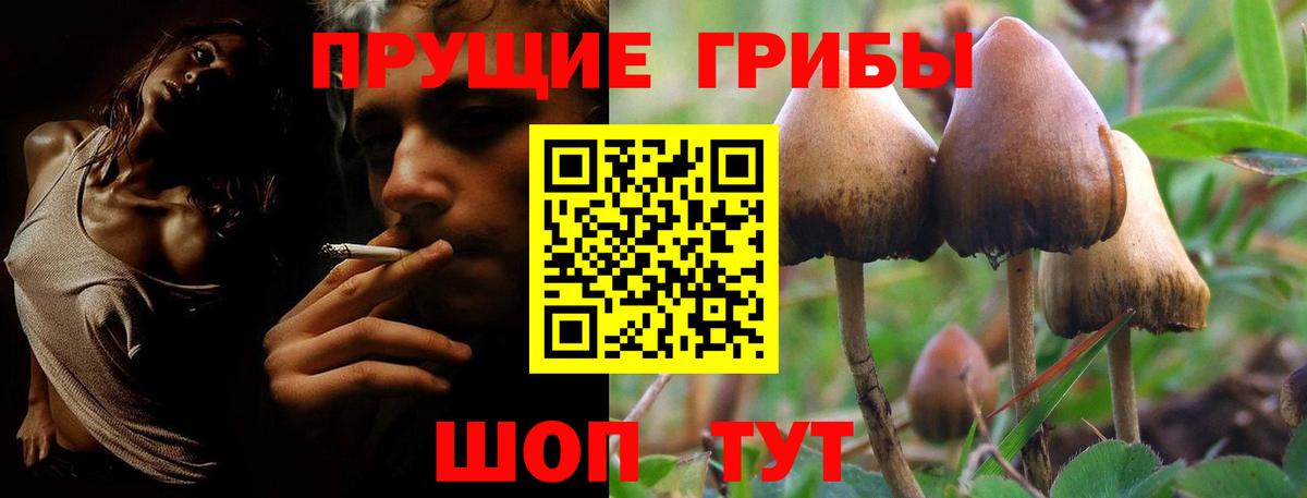 Псилоцибиновые грибы мицелий Туймазы